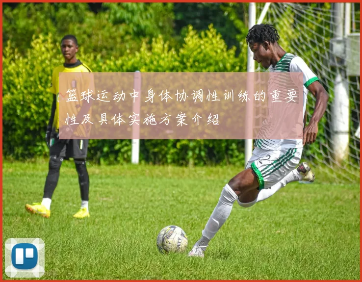 篮球运动中身体协调性训练的重要性及具体实施方案介绍